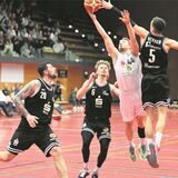 Citybasket Recklinghausen – Hertener Löwen