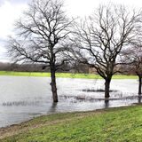 Südwestlich von Lippramsdorf hat sich die Lippe im neuen Auengebiet ausgebreitet.