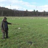 Schäfer Erwin Biedermann zeigt auf die toten Tiere am Rande seiner Herde