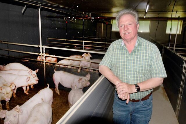 Landwirt Bernd Zimmer im Schweinestall.