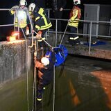 Feuerwehr rettet Lamm