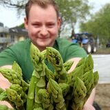 Im Hofladen Steffenhof in Dortmund-Benninghofen gibt es auch wieder Spargel.