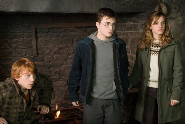Ron, Harry und Hermine in „Harry Potter und der Orden des Phoenix“.