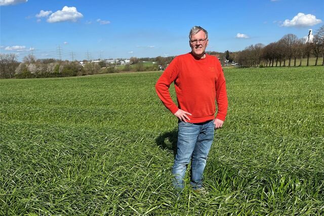 Landwirt Dirk Feldhaus aus Herten auf einem Maisfeld.