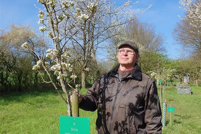 Ludger Drescher, Vorsitzender der Biostation, steht an einem blühenden Obstbaum auf der Streuobstwiese