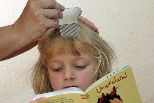 Ein Kind liest in einem Buch während ihm die Haare gekämmt werden.