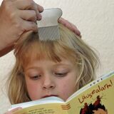 Ein Kind liest in einem Buch während ihm die Haare gekämmt werden.