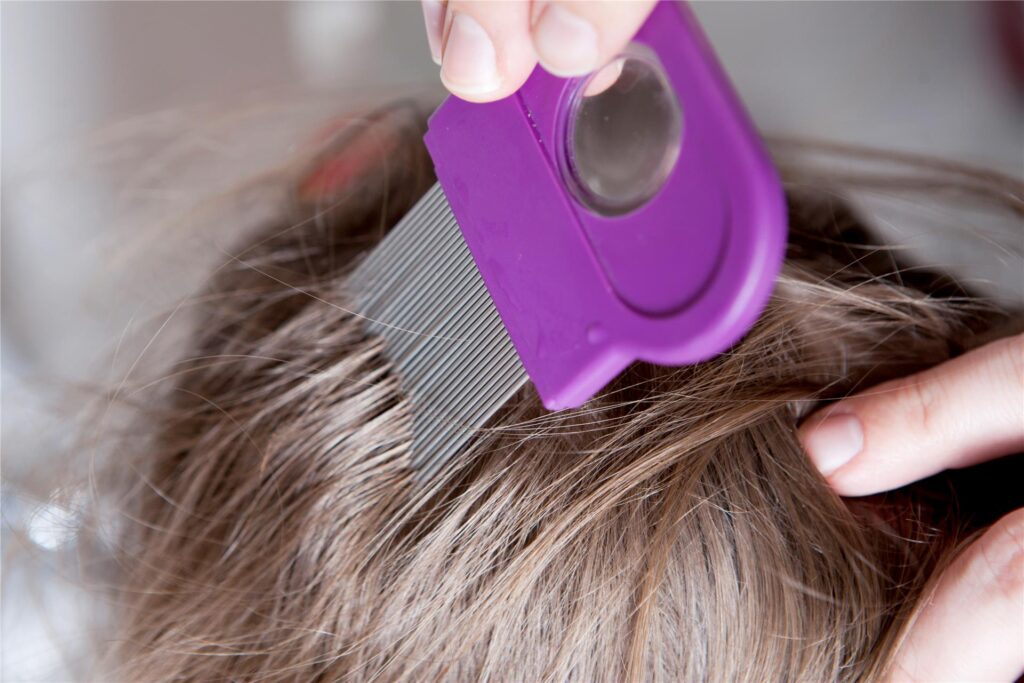 Haare werden mit einem Läusekamm gekämmt. Haare werden mit einem Läusekamm gekämmt.