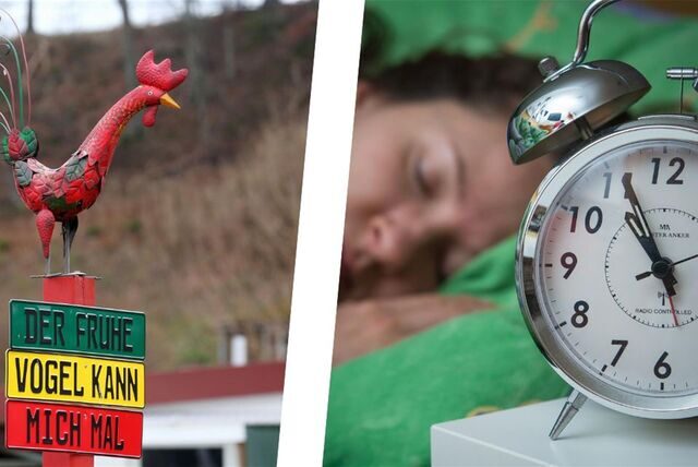 Wer morgens nicht von allein wach wird, braucht irgendeine Art Hilfsmittel. Die Papatastisch-Familie muss sich da mal etwas Neues überlegen. Etwas mit Hahn?