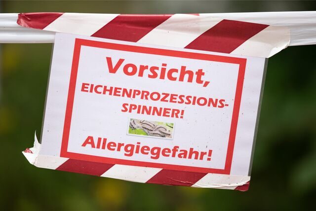 Ein Schild warnt vor dem Eichenprozessionsspinner.