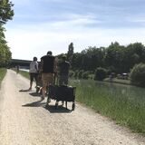 Vatertag 2020 am Rhein-Herne-Kanal in Henrichenburg: Hier ließ es sich trotz Corona-Pandemie gut feiern. Bei Kurze-Hosen-Wetter.