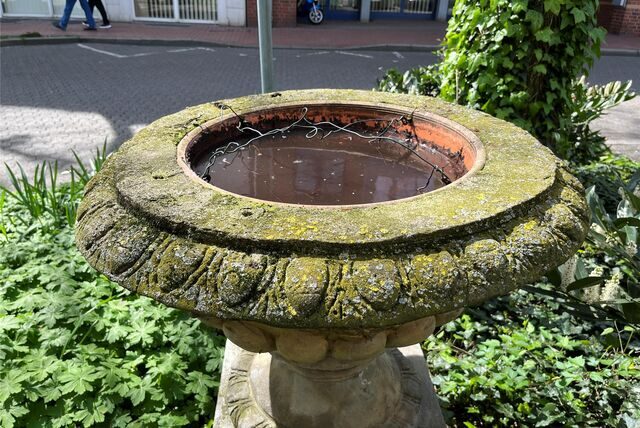 Brackiges Wasser schwimmt in diesem eleganten Blumenkübel in der Castroper Altstadt.