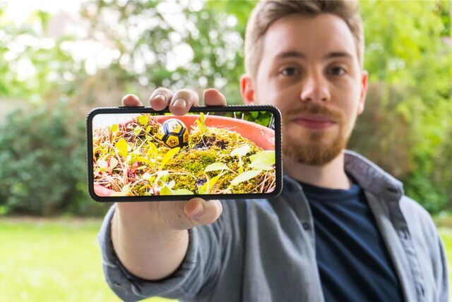 Autor Wilco Ruhland zeigt ein Bild seinen eingetopften Staadion-Rasens