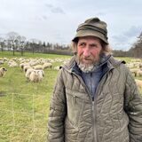 Erwin Biedermanns Herde wurde in Lembeck von einem Sohn der Wölfin Gloria attackiert.