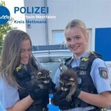 Polizei Kreis Mettmann
