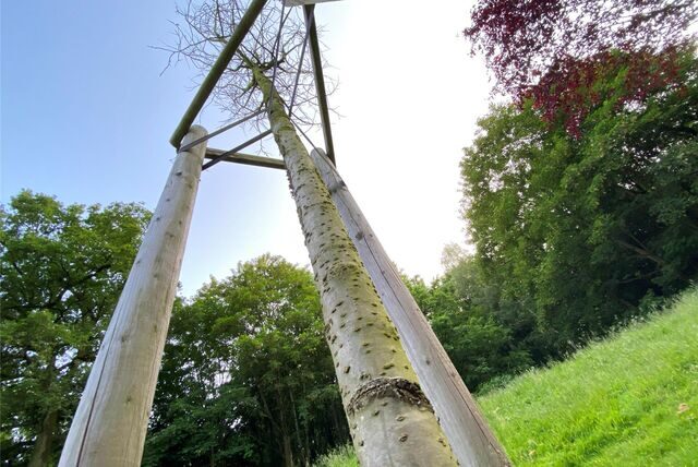Ein vertrockneter Baum an der Gedenkstätte 10+1 im Castrop-Rauxeler Goldschmiedingpark.