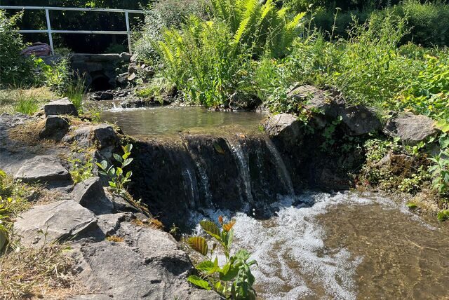 Es strömt wieder Wasser in den Gondelteich im Stadtgarten in Castrop-Rauxel.