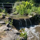 Es strömt wieder Wasser in den Gondelteich im Stadtgarten in Castrop-Rauxel.