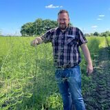Jan Menken inmitten von Spargelkraut auf einem Feld an der Oststraße in Castrop-Rauxel.