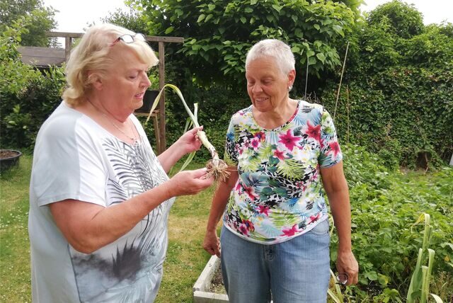 Konny Lutterbeck (l.) zeigt Renate Leick stolz den ersten Knoblauch aus eigener Ernte.