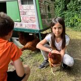 Elisa Kocapinar streichelt behutsam eine Henne. Die anderen Hühner befinden sich unter dem Hühnerwagen. Mustafa Bicak beobachtet sie.