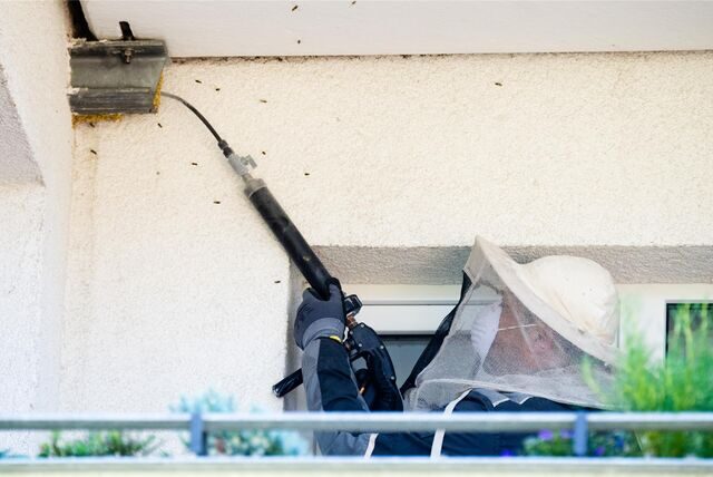 Schädlingsbekämpfer Cesar Aiello bekämpft mit Insektiziden ein Wespennest auf einen Balkon eines Mehrfamilienhauses.