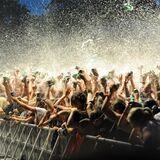 Festival