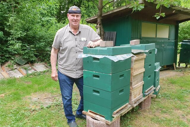 Mann vor Bienenkasten
