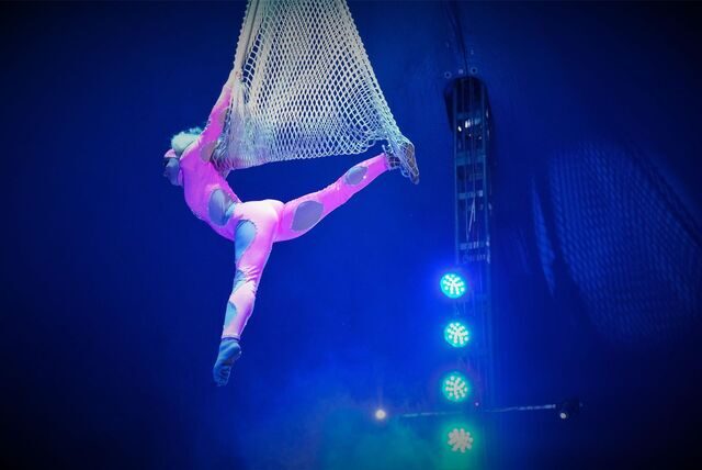 Das Foto zeigt die Artistin Michelle Tränkler in der Manege des Circus Verona im hängenden Fischernetz.