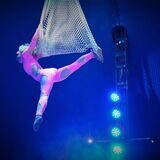 Das Foto zeigt die Artistin Michelle Tränkler in der Manege des Circus Verona im hängenden Fischernetz.