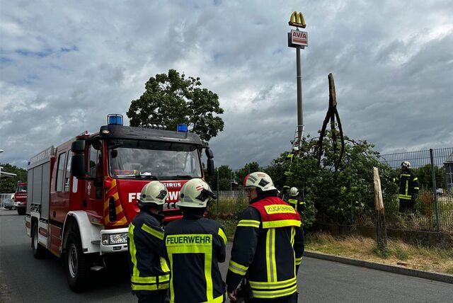 Die Feuerwehr ist am Mittwochmorgen zu einem Sturmeinsatz im Endelner Feld ausgerückt. Ein Baum ist dort abgebrochen.