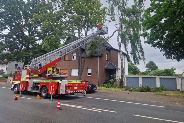 Ein Feuerwehrwagen mit Drehleiter steht auf der Straße. Die Leiter ist zu einem Baum ausgefahren, der vor einem Haus steht. Von dem Baum sind Äste abgefallen.