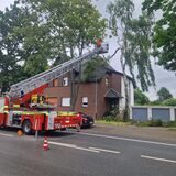 Ein Feuerwehrwagen mit Drehleiter steht auf der Straße. Die Leiter ist zu einem Baum ausgefahren, der vor einem Haus steht. Von dem Baum sind Äste abgefallen.