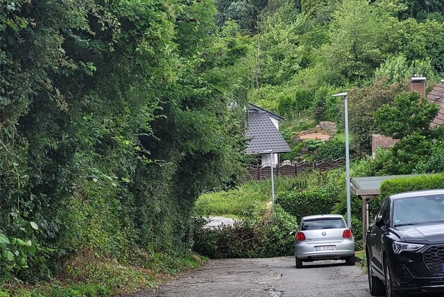 Ein Teil einer wild wuchernden Hecke stürzte auf die Straße Unterspredey.