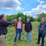 Mitglieder des Naturschutzbeirats des Kreises Recklinghausen stehen bei einem Ortstermin im Bereich Horneburg auf der König-Ludwig-Zechenbahntrasse: (v.l.) Alfons Pennekamp, Thomas Schiffgens, Dieter Jünemann und Heinz Boller.