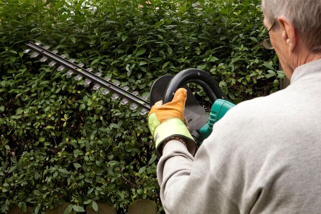 Ein Mann hält eine Kettensäge in der Hand und schneidet eine Hecke.