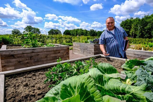 Franz-Josef Krakowiak steht an einem Hochbeet im Emscherland.