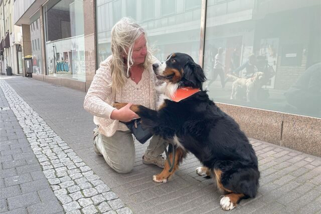 Dagmar Tennhoff kniet neben einer Berner Sennenhündin in der Innenstadt von Recklinghausen