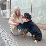 Dagmar Tennhoff kniet neben einer Berner Sennenhündin in der Innenstadt von Recklinghausen