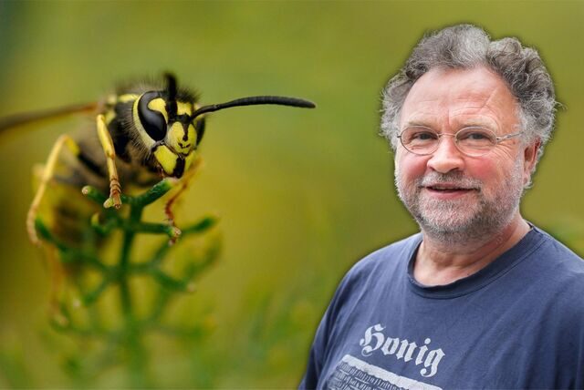 Imkermeister Ralf Schmidt ist der Dortmunder Experte für schwarz-gelbe Insekten.
