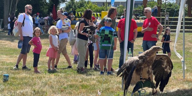Greifvogelshows begeistern die jungen und alten Besucherinnen und Besucher des ersten Familientages im Bürgerpark Maria Lindenhof in Dorsten