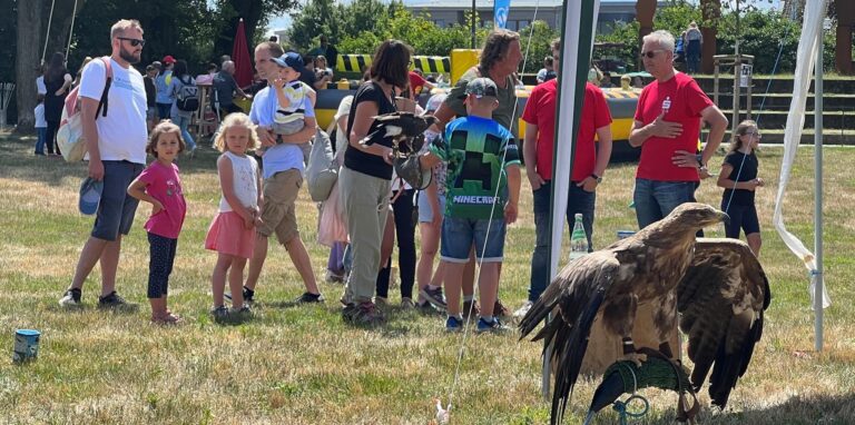Greifvogelshows begeistern die jungen und alten Besucherinnen und Besucher des ersten Familientages im Bürgerpark Maria Lindenhof in Dorsten