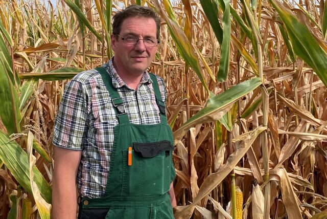 Ludger Winkelkotte im Maisfeld