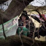 Aktivist Johannes, auch Hambi Potter genannt, kampiert auf der rund 250 Jahre alten Eiche, die er besetzt hat.