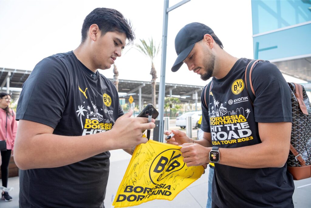 BVB/Alexandre Simoes