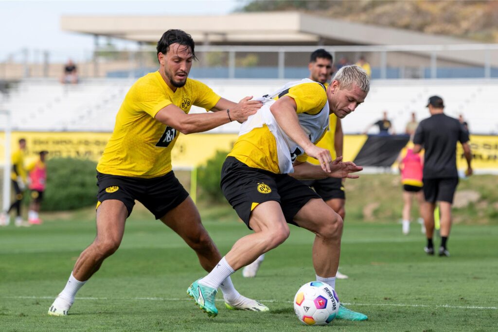 BVB/Alexandre Simoes