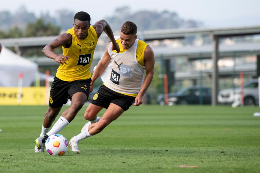 BVB/Alexandre Simoes