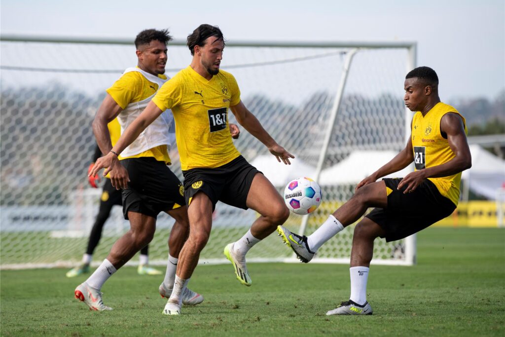 BVB/Alexandre Simoes