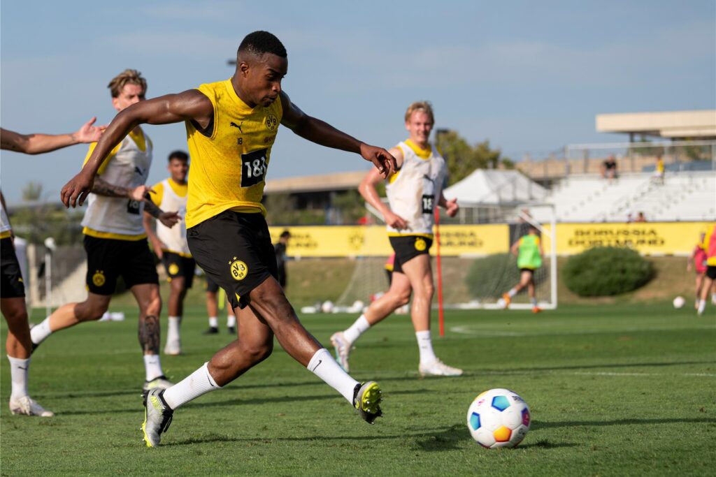BVB/Alexandre Simoes