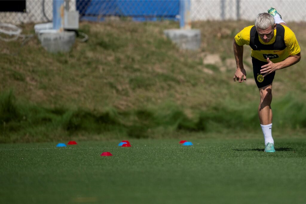 BVB/Alexandre Simoes